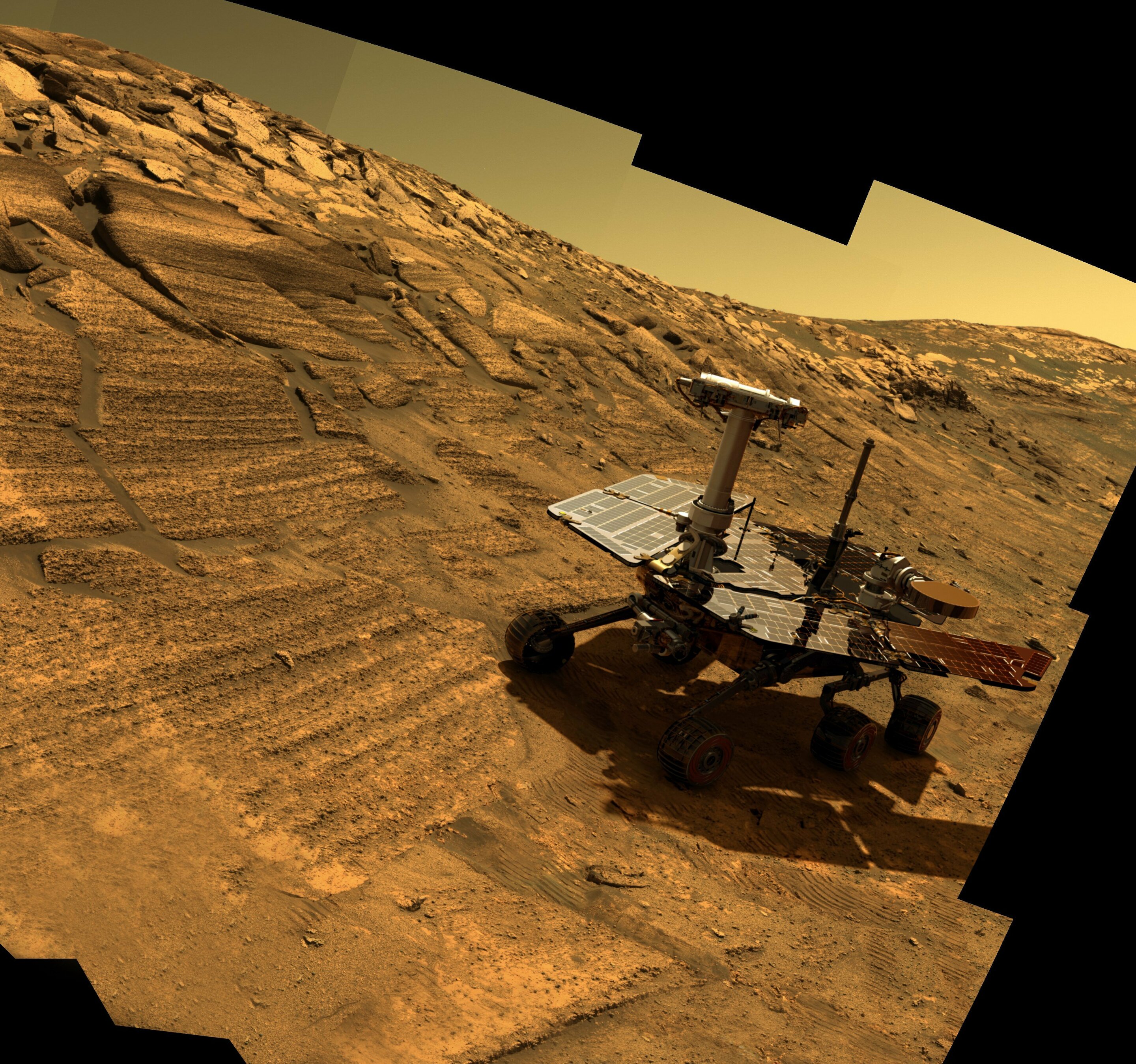 Opportunity – A Tribute